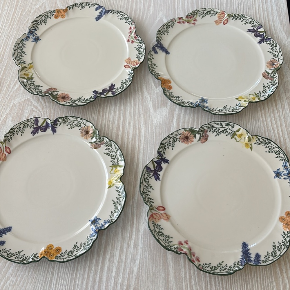Eden Stoneware Dinner Plates, Set of 4- NWT